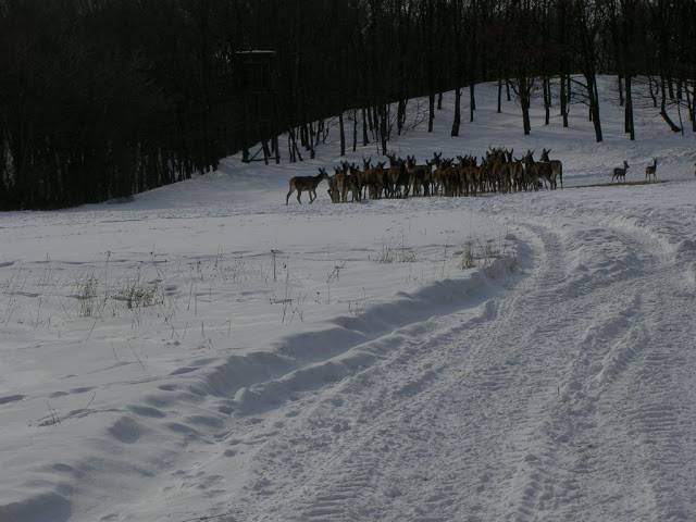 2005-polovnici-pict1036.jpg